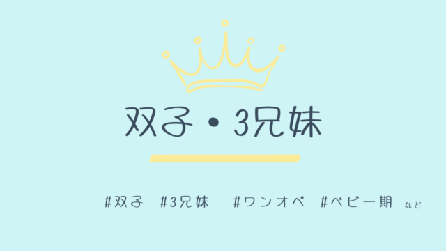 双子・3兄妹・ワンオペの工夫 はこちら